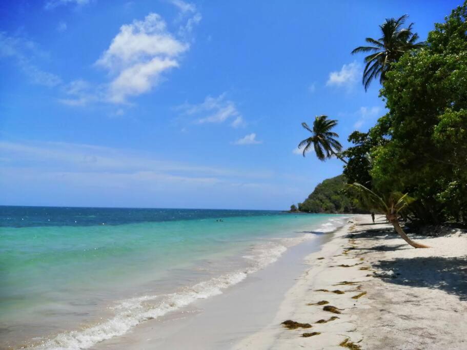 Mi Hermosa - Casa Islena A 70 Metros De La Playa Archibolds Eksteriør billede