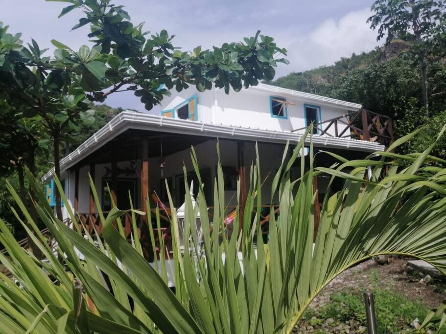 Mi Hermosa - Casa Islena A 70 Metros De La Playa Archibolds Eksteriør billede